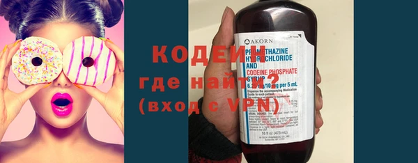 ПСИЛОЦИБИНОВЫЕ ГРИБЫ Гусев