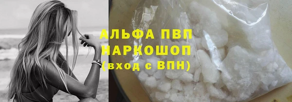 ПСИЛОЦИБИНОВЫЕ ГРИБЫ Гусев