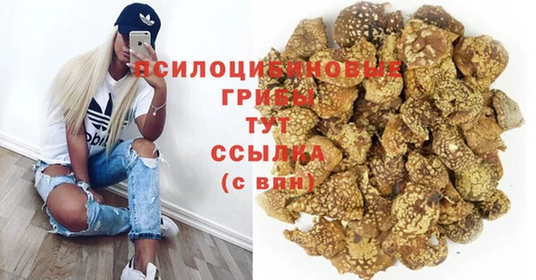 ECSTASY Дмитров