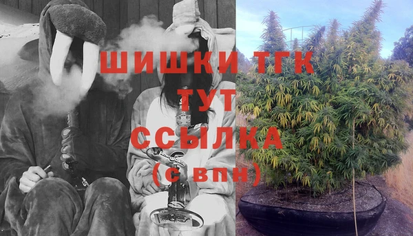 дживик Гусиноозёрск
