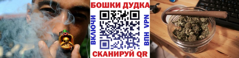 Купить где  Кирс  Каннабис сатива 
